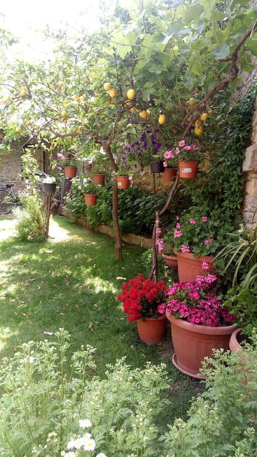 B&B Teresina Villasalto Kültér fotó